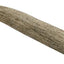 Whole Naturally Shed 5-in Deer Antler Dog Treats, Small, 1 count