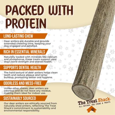 Whole Naturally Shed 5-in Deer Antler Dog Treats, Small, 1 count