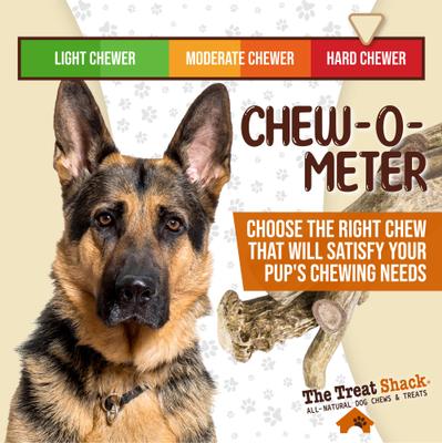 Whole Naturally Shed 10-in Deer Antler Dog Treats, Giant, 2 count