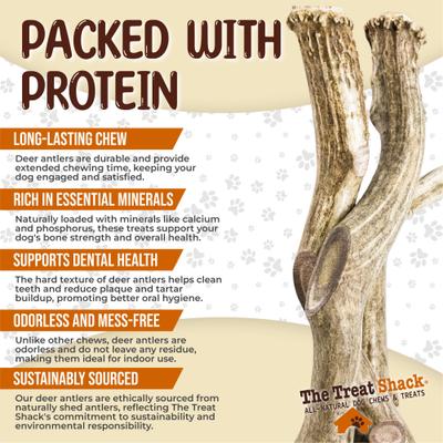 Whole Naturally Shed 10-in Deer Antler Dog Treats, Giant, 2 count