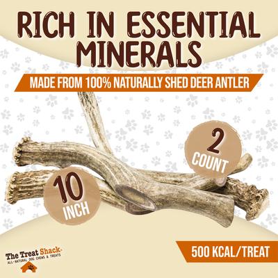 Whole Naturally Shed 10-in Deer Antler Dog Treats, Giant, 2 count