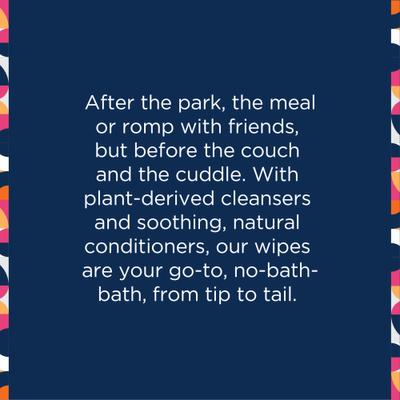 Toallitas húmedas para el cuidado de perros y gatos con bergamota y manzana, 15 unidades