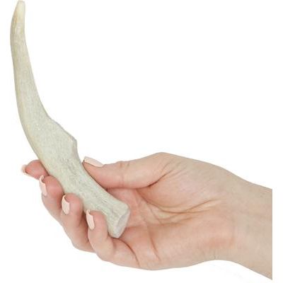 Masticables de asta de ciervo entera para perros, 6-7,5 pulgadas