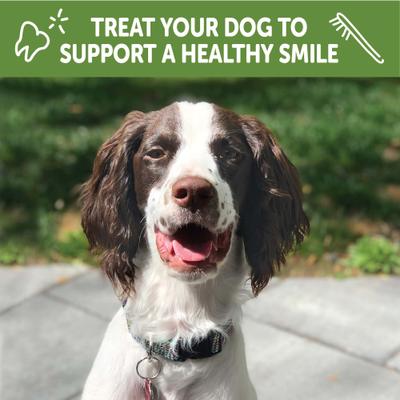 by Wellness Puppy Dental Chews Natural Grain-Free Dental Dog Treats, Extra Small/Small, 30 count