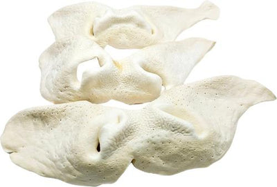 8 to 9-in Beef Snouts Natural Dog Chew Treats, Jumbo, 6 count