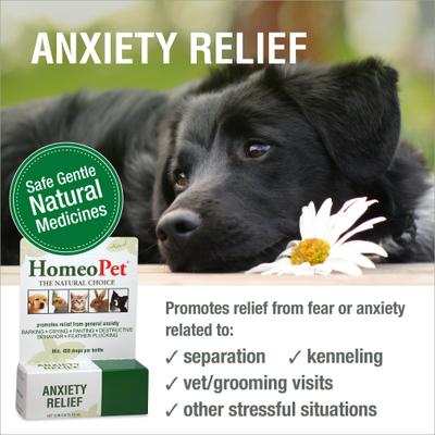 Anxiety Relief Dog, Cat, Bird & Small Animal Supplement, 450 drops,15-ml