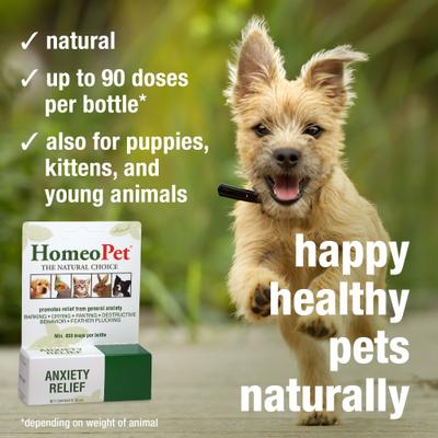 Anxiety Relief Dog, Cat, Bird & Small Animal Supplement, 450 drops,15-ml