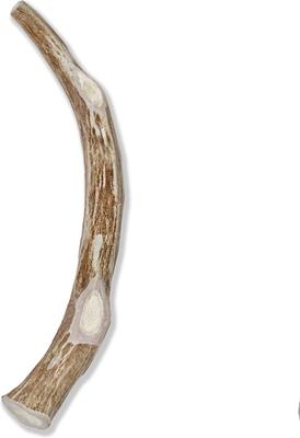 Whole Deer Antler Dog Chews, 9 - 10.5 in