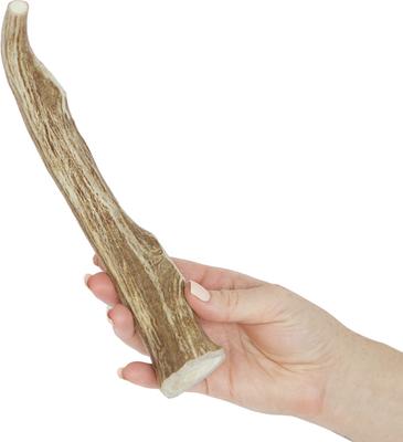 Whole Deer Antler Dog Chews, 9 - 10.5 in