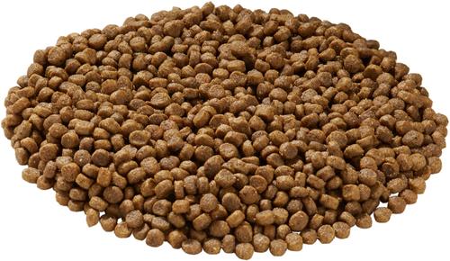 Bundle: Health Extension Little Bites Chicken & Brown Rice Recipe Dry Food + Super Bites Chicken Recipe Freeze-Dried Raw Dog Food Mixer