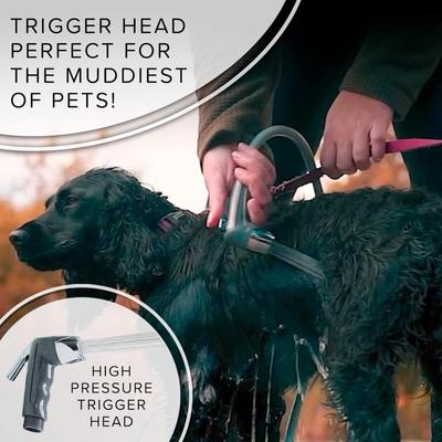 Rechargeable Portable Shower, Gray