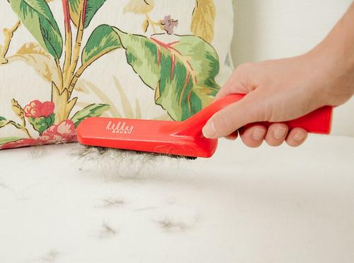 Hair Clean-up Dog & Cat Brush