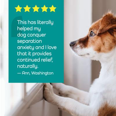 Hemp Helpers Topical for Dogs, 3-ml, 4 count, Under 33-lb