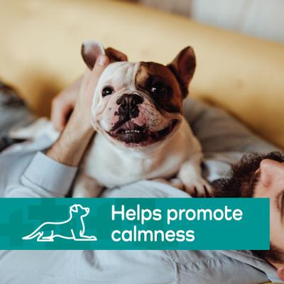 Hemp Helpers Topical for Dogs, 3-ml, 4 count, Under 33-lb