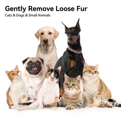 Pet Deshedding Tool for Short-Haired Dogs & Cats, White