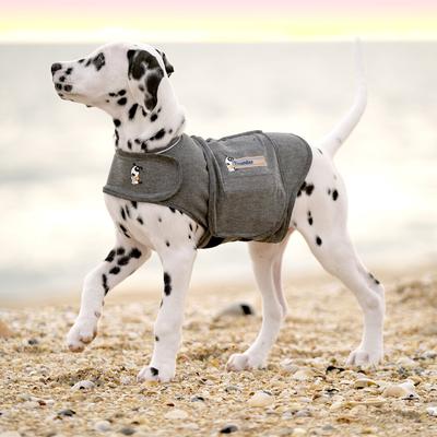 Classic Anxiety & Calming Vest for Dogs, Heather Grey, Large