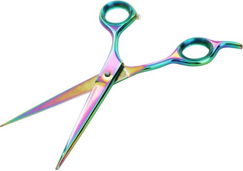 Tijeras de peluquería para mascotas rectas Gold Touch Rainbow de 6,5 pulgadas