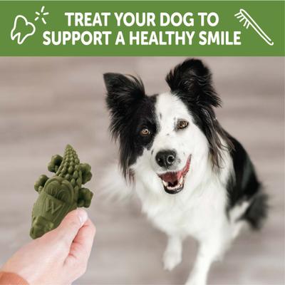 by Wellness Alligator Dental Chews Natural Grain-Free Dental Dog Treats, Medium, 12 count