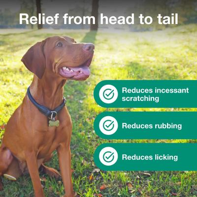 (Cyclosporine Modified) Capsules for Dogs, 10-mg, 30 capsules