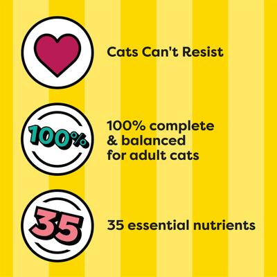 Adult Seafood Medley Flavor Dry Cat Food, 13.5-lb bag