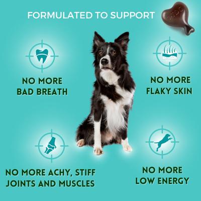Dental & Joint Health Softgel Supplement for Dogs & Cats, 60 count
