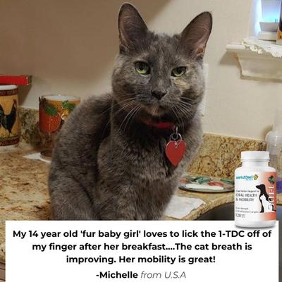 Dental & Joint Health Softgel Supplement for Dogs & Cats, 60 count