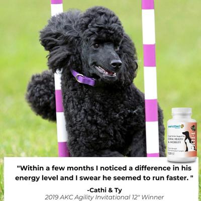 Dental & Joint Health Softgel Supplement for Dogs & Cats, 60 count