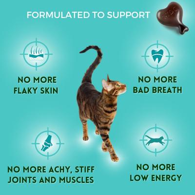 Dental & Joint Health Softgel Supplement for Dogs & Cats, 60 count