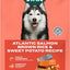 Salmon, Brown Rice & Sweet Potato ALS Kibble Dog Dry Food, 11.5-lb bag