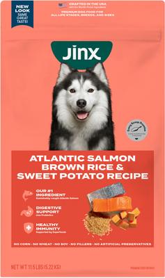 Salmon, Brown Rice & Sweet Potato ALS Kibble Dog Dry Food, 11.5-lb bag