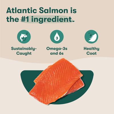 Salmon, Brown Rice & Sweet Potato ALS Kibble Dog Dry Food, 11.5-lb bag