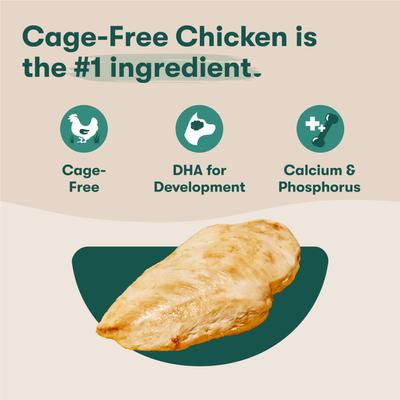 Jr Whole Grain Chicken Recipe Natural Dry Puppy Food, 4-lb bag