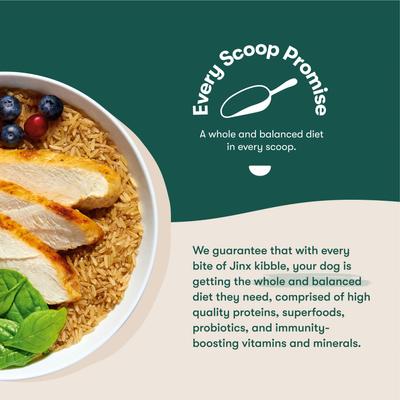 Jr Whole Grain Chicken Recipe Natural Dry Puppy Food, 4-lb bag