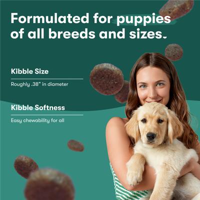 Jr Whole Grain Chicken Recipe Natural Dry Puppy Food, 4-lb bag