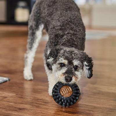 Everlasting Chicken Flavored Dental Dog Treats, Medium, 2 count