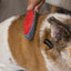 Duo Dual-Sided Grooming & Hair Removal Dog & Cat Brush, Color Varies