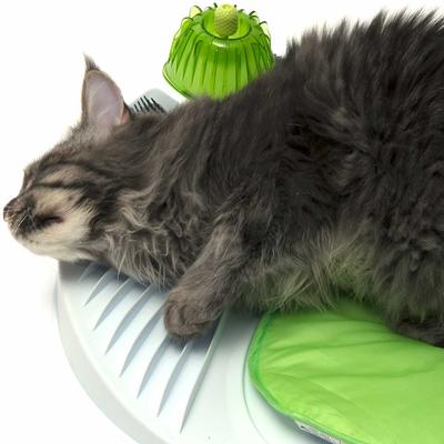 Catnip Shaker, 0.53-oz can