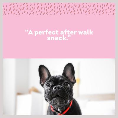 6-in Gullies Dog Treat, 12 count