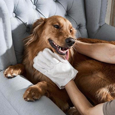 Toallitas desodorantes para guantes de perros y gatos, 20 unidades