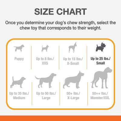 Bundle: Nylabone Teething Pacifier Puppy Chew Toy & N-Bone Puppy Teething Ring Chicken Flavor Dog Treats