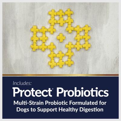 Protect Puffs Digestive Care & Weight Management Low Fat Dog Treats, 20-oz bag