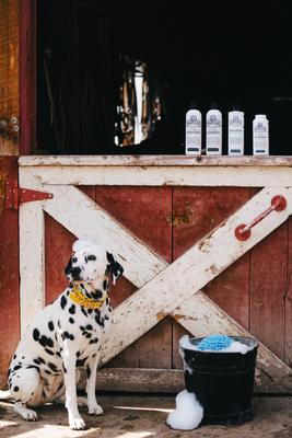 Loción para el tratamiento de la irritación de la piel de perros, botella de 16 onzas líquidas