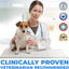 Anti-Itch Ear Infection Treatment Drops for Dogs & Cats, 2-fl oz bottle