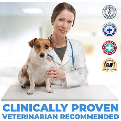 Gotas para el tratamiento de infecciones de oído contra la picazón en perros y gatos, botella de 2 onzas líquidas