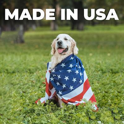 Anti-Itch Ear Infection Treatment Drops for Dogs & Cats, 2-fl oz bottle