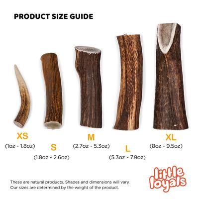 Grade A Premium Whole Deer Antler Chew Dog Treat, Medium