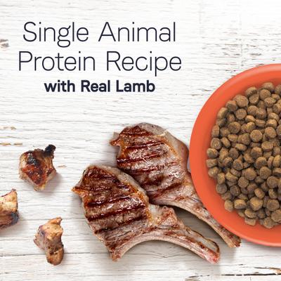 Alimento seco para perros adultos Under the Sun Grain-Free Lamb Recipe, bolsa de 40 lb
