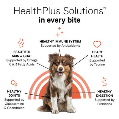 Alimento seco para perros adultos Under the Sun Grain-Free Lamb Recipe, bolsa de 40 lb