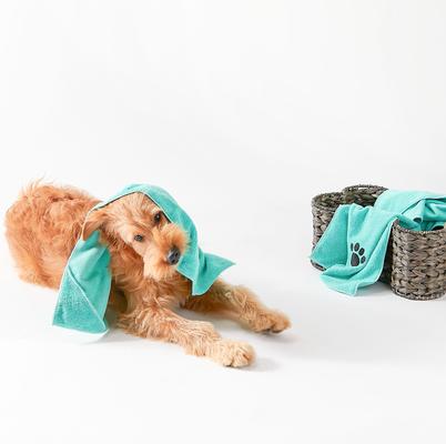 Small Embroidered Paw Dog & Cat Towel Set, 3 count, Aqua