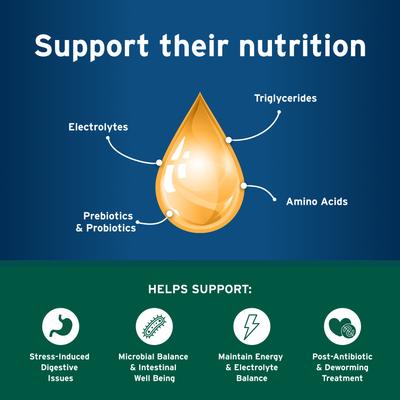 Endurosyn Probiotic Balance+ Chicken Flavored Oral Gel for Dogs, 32-g syringe